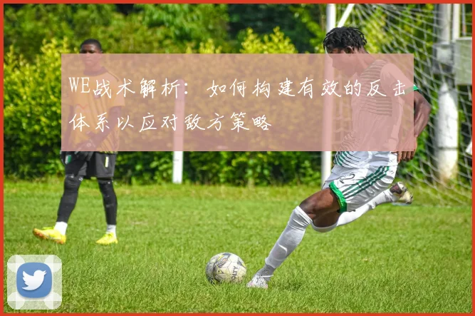 WE战术解析：如何构建有效的反击体系以应对敌方策略